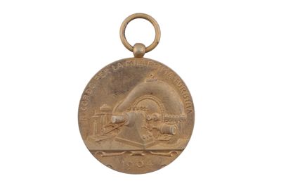 medaglia IGB-14416
