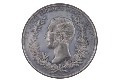 medaglia IGB-14453