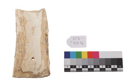 Foto Placca in gesso in stile etrusco con scena di caccia IGB-005316_20250912_004.jpg