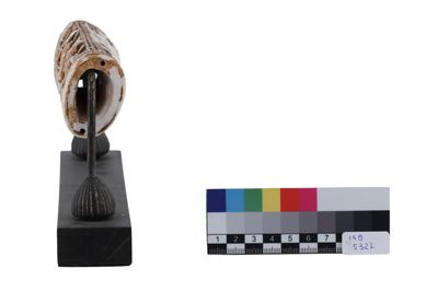 Foto Impugnatura di spada in gesso in stile etrusco-romano IGB-005327_20251217_006.jpg