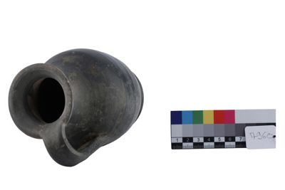 Foto Oinochoe in terracotta IGB-007960_20251217_016.jpg