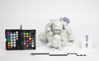 Foto Coppia di cani di Fo che giocano IGB-001429_20241003_001.jpg