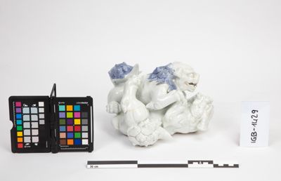 Foto Coppia di cani di Fo che giocano IGB-001429_20241003_003.jpg