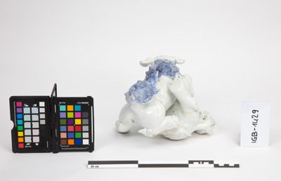 Foto Coppia di cani di Fo che giocano IGB-001429_20241003_004.jpg