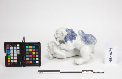 Foto Coppia di cani di Fo che giocano IGB-001429_20241003_005.jpg