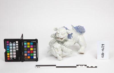 Foto Coppia di cani di Fo che giocano IGB-001429_20241003_006.jpg