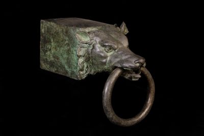 Foto Copia in bronzo di protome IGB-016502_20190109_002.jpg