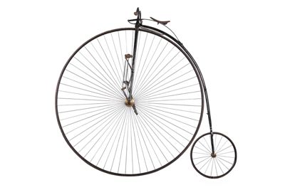 Foto biciclo tipo Renard D-000040_20260318_003.jpg
