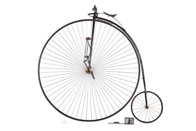 Foto biciclo tipo Renard D-000040_20260318_004.JPG