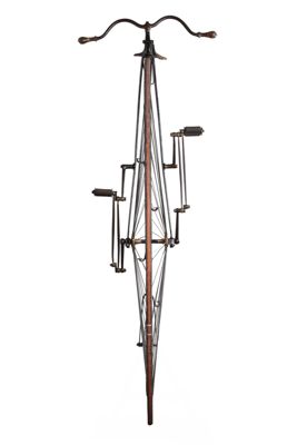 Foto biciclo tipo Renard D-000040_20260318_005.jpg