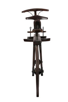 Foto Velocipede draisina D-000041_20260317_009.jpg
