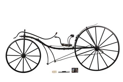 Foto velocipede a leve D-000047_20260318_004.JPG