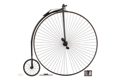 Foto biciclo da corsa D-000048_20260317_008.JPG