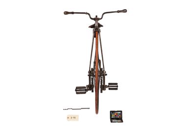 Foto biciclo tipo Kangaroo D-000049_20251002_008.JPG