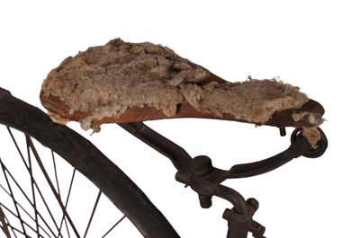 Foto bicicletta D-000051_20251002_014.JPG