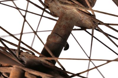 Foto bicicletta D-000068_20251002_018.JPG