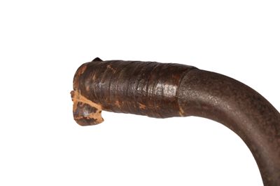 Foto bicicletta D-000068_20251002_019.JPG