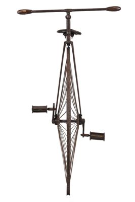 Foto monociclo IGB-012494_20260317_005.jpg