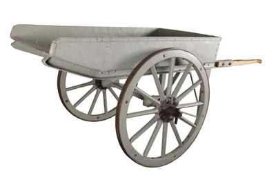tomarella IGB-10714