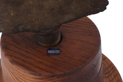 Foto Pala per introduttore di turbina Francis con tracce di corrosione esemplificativa IGB-002280_20260625_009.JPG