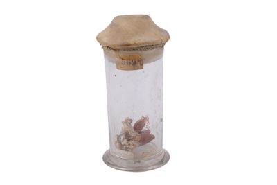 Campione di animali delle profondità marine IGB-12350-3