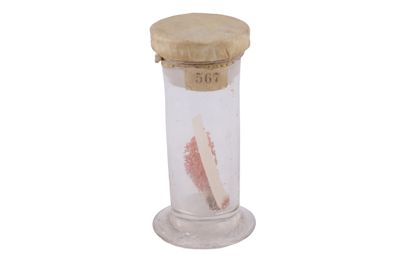 Campione di animali delle profondità marine IGB-12350-12