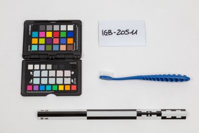 Foto Spazzolino da denti in plastica riciclata IGB-020511_20241021_003.jpg