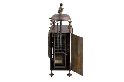 Foto cappuccina IGB-003231_20260519_007.JPG