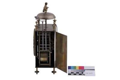 Foto cappuccina IGB-003231_20260519_008.JPG