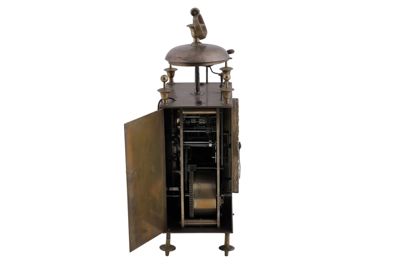 Foto cappuccina IGB-003231_20260519_013.JPG