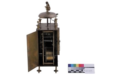 Foto cappuccina IGB-003231_20260519_014.JPG