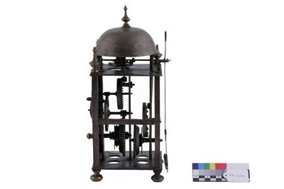 Foto svegliarino IGB-003277_20260519_006.JPG