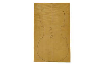 Tavola rettangolare già divisa da cui ricavare il fondo di un violino IGB-5560-2