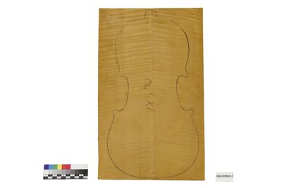 Foto Tavola rettangolare già divisa da cui ricavare il fondo di un violino IGB-005560-2_20250605_002.jpg