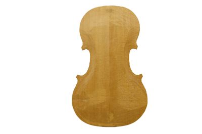 Tavola armonica di violino in lavorazione IGB-5560-5