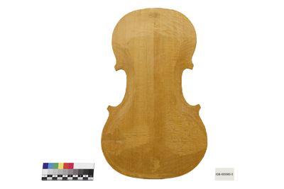 Foto Tavola armonica di violino in lavorazione IGB-005560-5_20250605_002.jpg