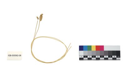 Foto Coppia di corde armoniche IGB-005562-08_20250529_002.jpg