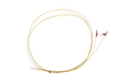 Coppia di corde armoniche IGB-5562-13