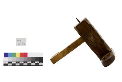 Foto Truschino o graffietto IGB-005569-6_20250605_002.jpg