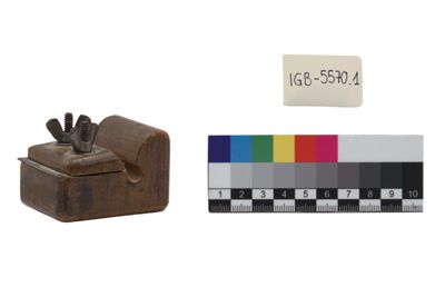 Foto Tempera piroli IGB-005570-1_20250528_002.jpg