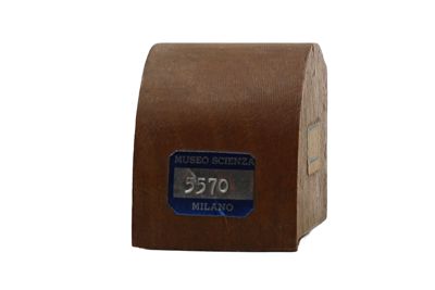 Foto Controforma per CC di violino IGB-005570-2_20250529_001.jpg