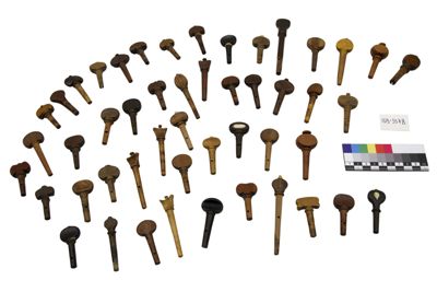 Foto Compendio di piroli IGB-005578_20250606_002.jpg