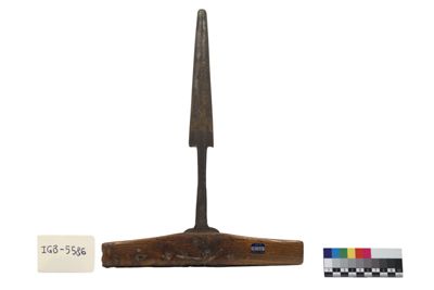 Foto succhiello IGB-005586_20250528_002.jpg