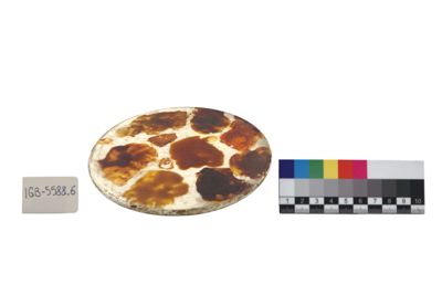 Foto Piatto-palette per colori IGB-005588-06_20250528_002.jpg