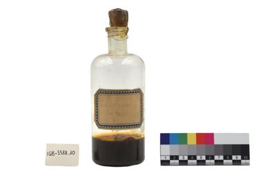 Foto Bottiglia in vetro con vernice giallo oro IGB-005588-10_20250528_002.jpg