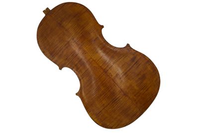 Tavola del fondo di violoncello IGB-5591-2