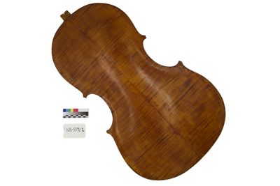 Foto Tavola del fondo di violoncello IGB-005591-2_20250605_002.jpg