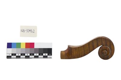 Foto Riccio di violino in lavorazione IGB-005593-02_20250604_002.jpg