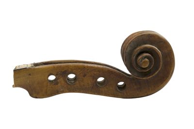 Riccio di violino IGB-5593-4