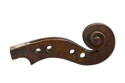 Riccio di violino IGB-5593-5